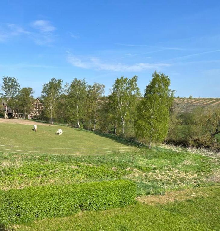 JS Feriendomizile Bettwäsche u Handtücher inkl Hasselfelde Exterior foto